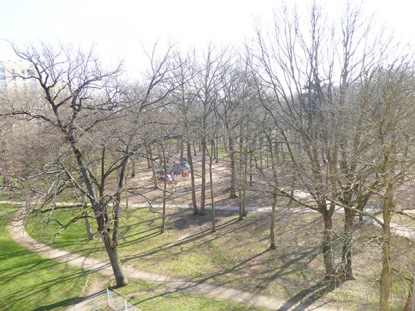 Appartement T3 - 60m2 - Bords de l'Huisne - Le Mans - 1